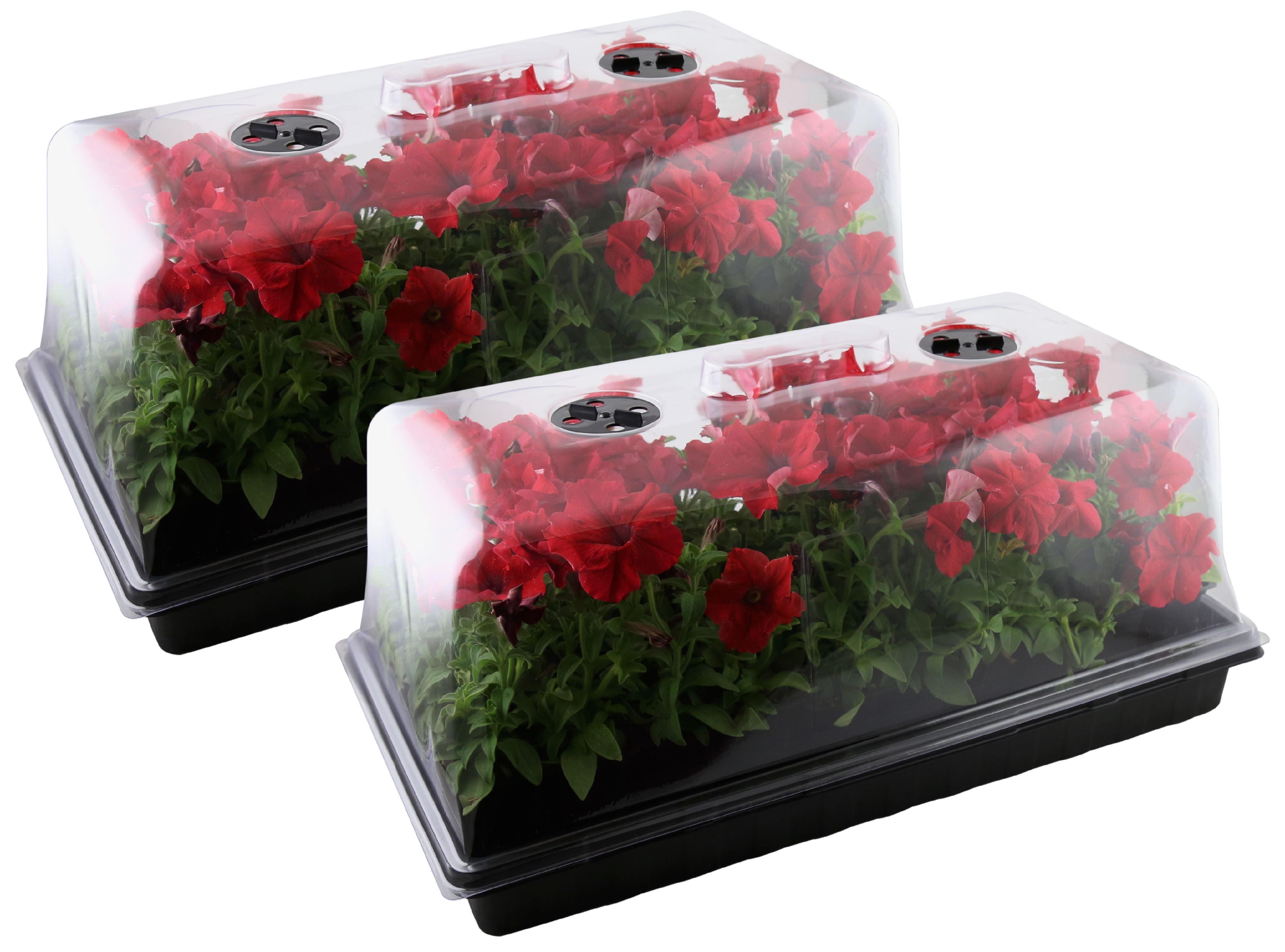 Apollo Horticulture Ah Gmk 1 Germination Seedling Seed Starter Kit