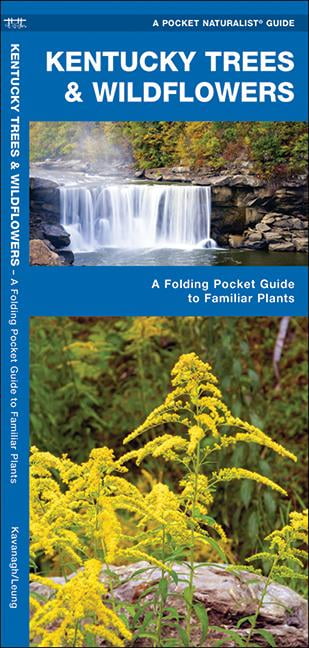 Kentucky Trees & Wildflowers : An Introduction to Familiar Species ...