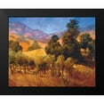 thumbnail image 2 of Craig, Philip 24x20 Black Modern Framed Museum Art Print Titled - Southern Vineyard Hills, 2 of 5