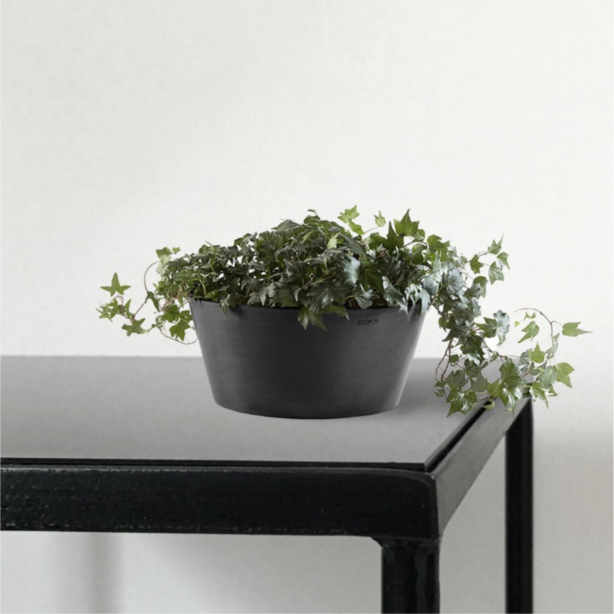 Ecopots Frankfurt Durable Modern Round Indoor/Outdoor Recycled Based Composite Flower Pot Planter, Dark Grey, 12"