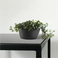 thumbnail image 3 of Ecopots Frankfurt Durable Modern Round Indoor/Outdoor Recycled Based Composite Flower Pot Planter, Dark Grey, 12", 3 of 4