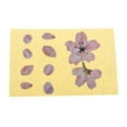 thumbnail image 1 of Esquirla Cherry Blossom Flower Inlay Decals Sticker for Guitar Bass Ukulele Accessory, 1 of 8