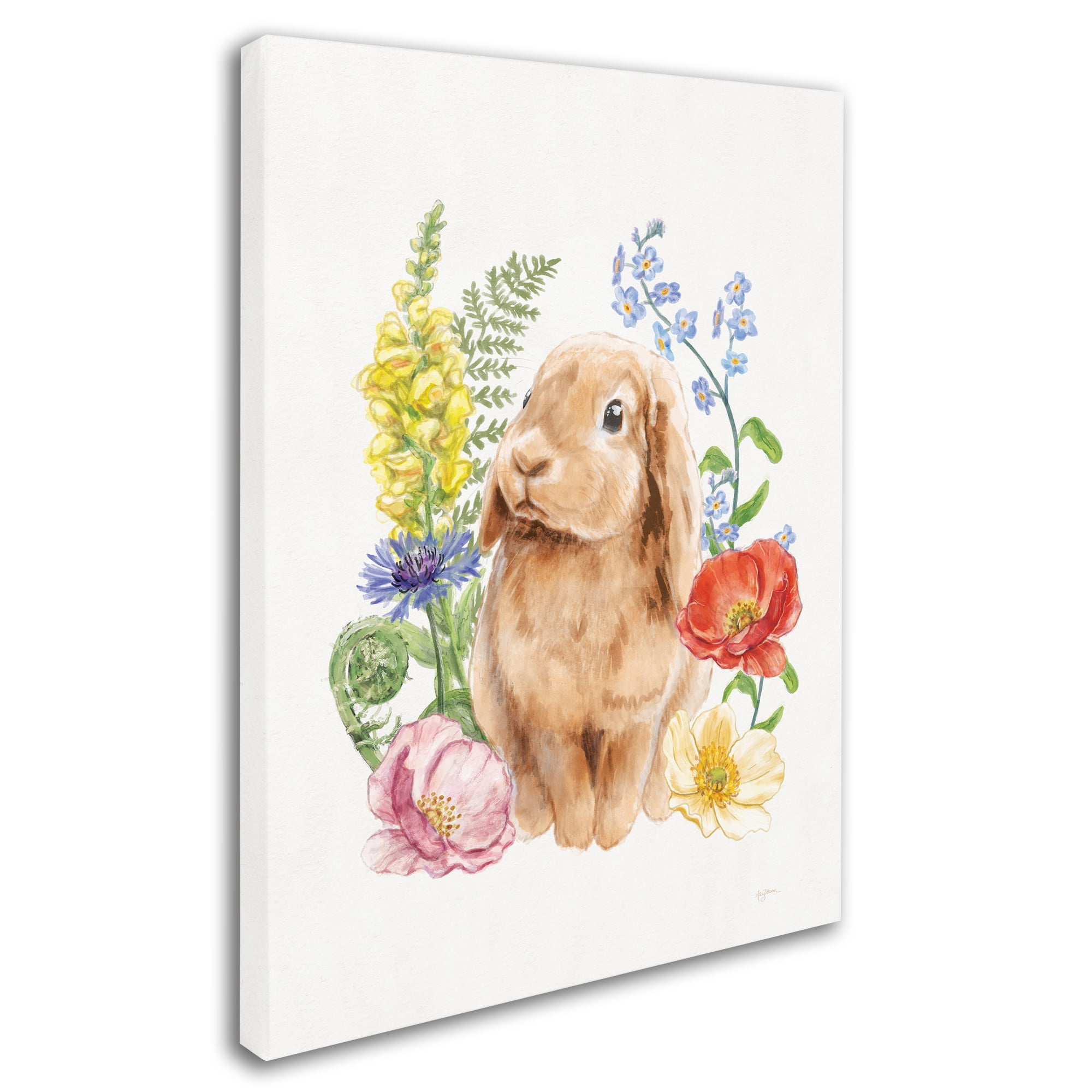 Trademark Fine Art 'Sunny Bunny I FB' Canvas Art by Mary Urban