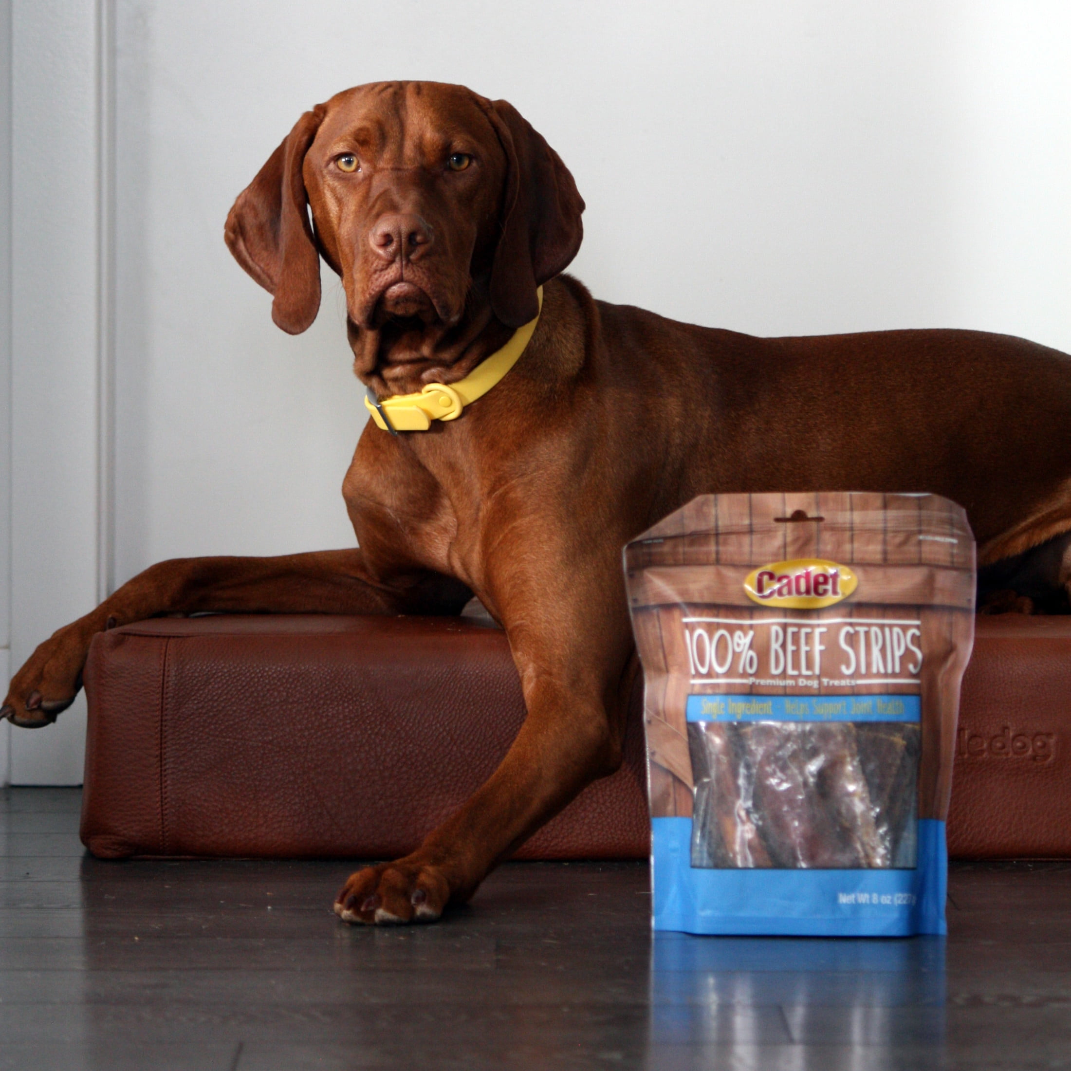 (2 pack) Cadet 100% Real Beef Strips Dog Treats, Single Ingredient Dog Jerky Treats for Small & Large Dogs, 8 Ounce