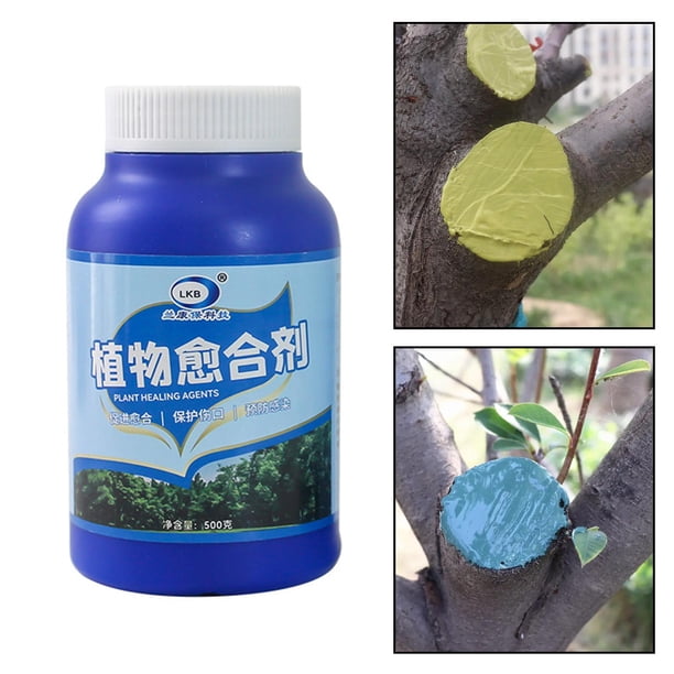Sellador de Heridas de Árboles Shamjiam 500g