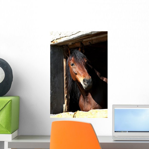 Horse Wall Mural Decal Sticker, Wallmonkeys Peel & Stick Vinyl Graphic (18 in H x 12 in W