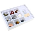 thumbnail image 2 of Metallic Minerals Science Kit by Tedco, 2 of 2
