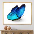 thumbnail image 3 of Designart Vibrant Blue Butterfly FLOAT FRAME WALL ART, 3 of 4