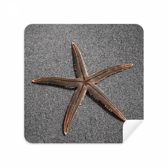 Gris Mur Starfish Science Nature Photo Lunettes Tissu Écran Nettoyeur Daim Tissu 2 Pack