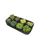 thumbnail image 1 of Bolsa para plantar vegetales suculentos, bolsa para plantar en cuatro partes de fieltro, 180x90x30CM (8 bocas), 1 Uds. Sincero Electrónica, 1 of 5