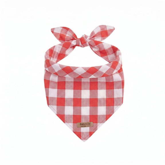 Red Gingham Bandana