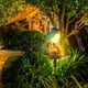 thumbnail image 4 of Luces de Resina con Energía Solar, Luces Impermeables para Exterior, Estacas de Jardín con Pájaro Mirando Hacia Arriba, 4 of 5
