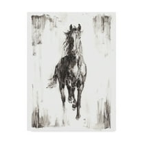 Trademark Fine Art 'Rustic Black Stallion I' Canvas Art by Ethan Harper