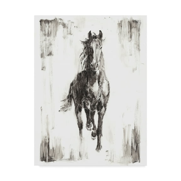 Trademark Fine Art 'Rustic Black Stallion I' Canvas Art by Ethan Harper