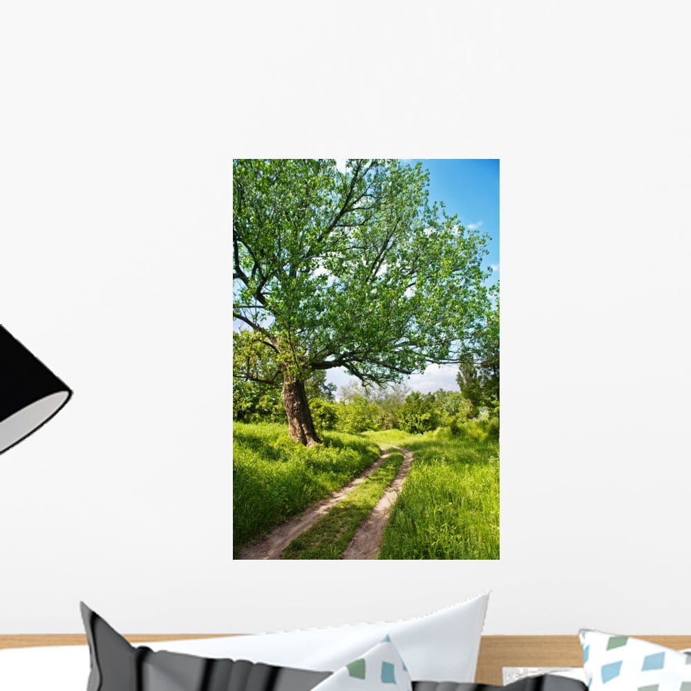 Beautiful Countryside Scene Wall Mural by Wallmonkeys Peel and Stick