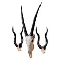 thumbnail image 2 of Design Toscano Kudu African Wall Trophy: Set of Two, 2 of 3