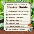 thumbnail image 6 of Seedboy Organic Spinach Seeds for Planting Indoor and Outdoor, Non-GMO and USDA Certified Vegetable Seed Packet for Hydroponic Garden Indoor or Planting Outdoors (Bloomsdale Spinach), 6 of 6