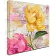 thumbnail image 2 of Trademark Fine Art "Sitting Pretty II" Canvas Art by Color Bakery, 2 of 3