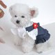 thumbnail image 2 of Zhuge Vestido para cachorro, bonito vestido de princesa para gato, falda para perro para perros pequeños, A58, M, 2 of 4