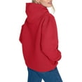thumbnail image 2 of Women's Starter Red LA Clippers Arch Stripe Fleece Hoodie, 2 of 3