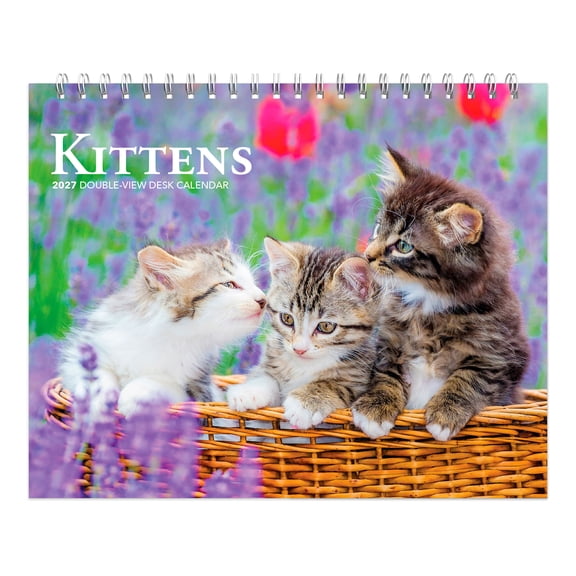 Kittens | 2027 7.5x6" Double-View Easel Desk Calendar