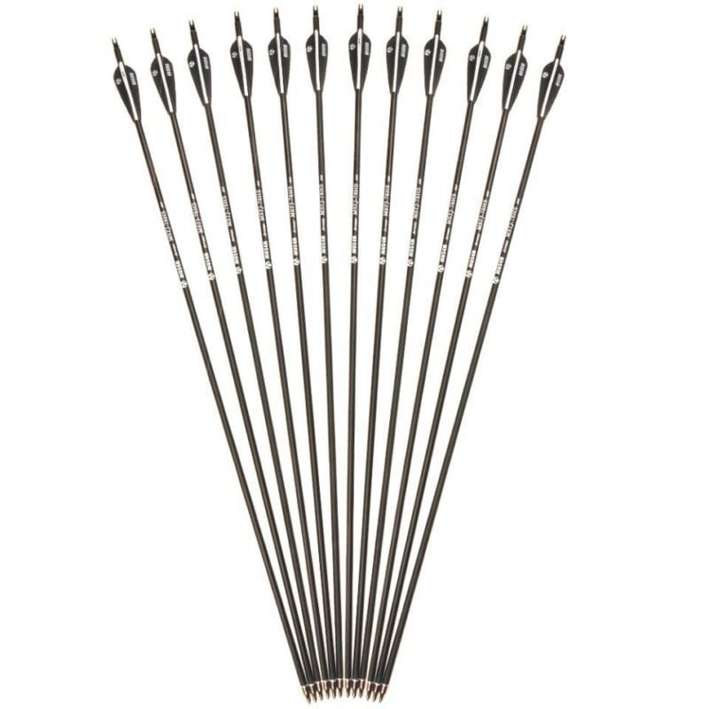 6 Fiberglass 28 Inches Arrows 28" for Compound Archery Bow Screw in Field Points 