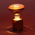 thumbnail image 4 of 250w Infrared Heat Lamp Waterproof Anti-explosion Thickened Light Bulbs For Piglet Chicken Duck-xdd, 4 of 5