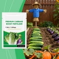 thumbnail image 1 of Cabbage – for Celery & Cabbage – Enhances Growth & Stress Resistance –100g Pack, 1 of 5