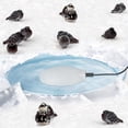 thumbnail image 3 of MesaSe Winter Bird Bath Heater for Outdoor Safe Birdbaths Deicer with Thermostatically Controlled, 3 of 8