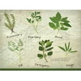 thumbnail image 2 of Kimberly, Allen 14x12 Gold Ornate Wood Framed with Double Matting Museum Art Print Titled - Fresh Herbs, 2 of 4