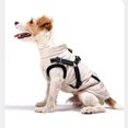 thumbnail image 4 of HQREA Winter Waterproof Cold-proof Dog Warm Vest Jacket Coat Pets Clothes with Zipper & D-Ring for Small Medium Dogs, 4 of 6