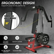 syedee Chest Fly and Reverse Delt Machine, 400 lbs Upper Body Specialty Machine for Pectoral and Rear Deltoid for Home Gym