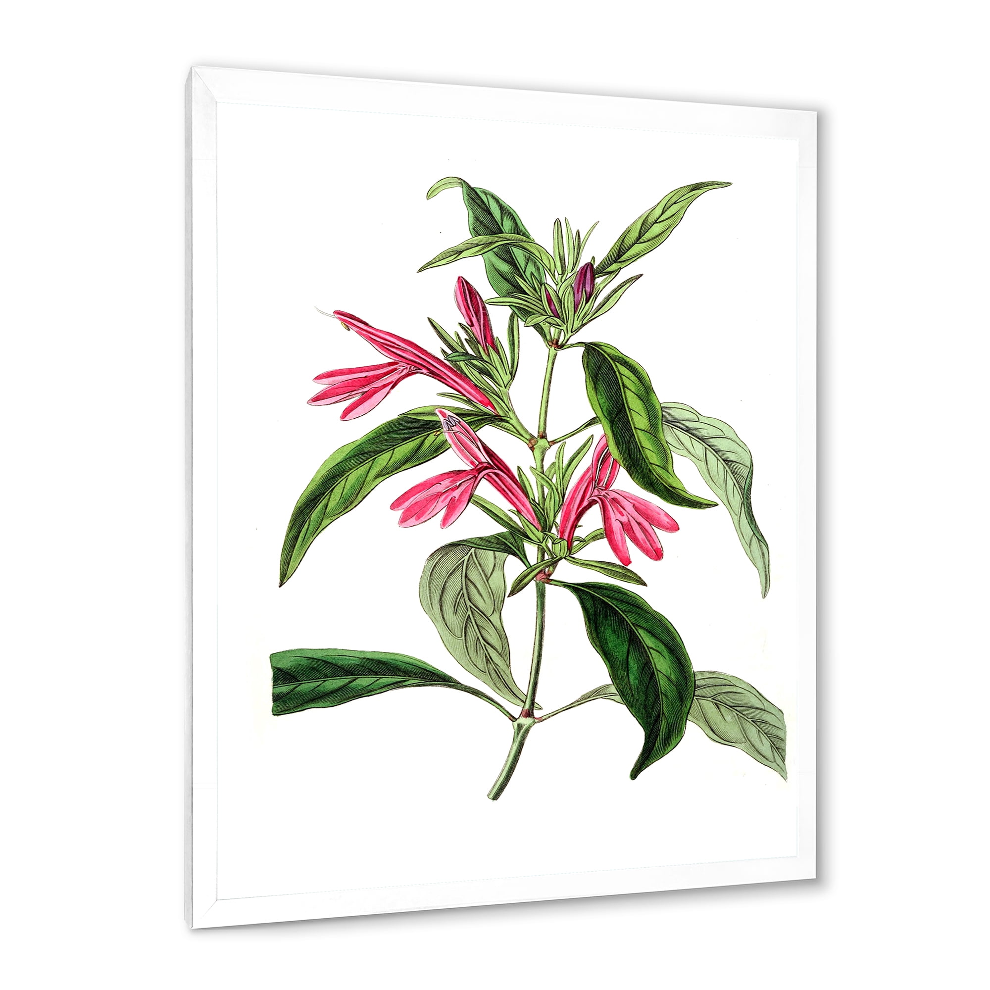 Designart 'Ancient American Flora VII' Traditional Framed Art Print