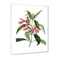 thumbnail image 2 of Designart 'Ancient American Flora VII' Traditional Framed Art Print, 2 of 4