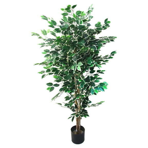 60 in. Romano Ficus Tree