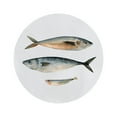 thumbnail image 2 of Scarvey, Emma 20x20 White Modern Wood Framed Museum Art Print Titled - Three Fish I, 2 of 4