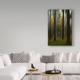 thumbnail image 4 of Bjorn Emanuelson 'Autumn Leaves Yellow' Canvas Art, 4 of 4