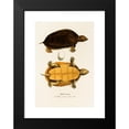 thumbnail image 2 of Johann Baptist von Spix 18x24 Black Modern Framed Museum Art Print Titled - Emys Tracaxa (1838), 2 of 5