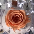 thumbnail image 4 of Mini rosa preservada Mina’an-flor eterna en cajita de regalo color Peach, 4 of 4