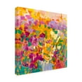 thumbnail image 3 of Canvas Wall Art - Dorothy Fagan 'Soaringspirit' Wall Art for Living Room, Bedroom, or Office Décor by Trademark Fine Art - 18 x 18 Inches, 3 of 4