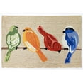 thumbnail image 1 of Trans-Ocean Imports FTP34445712 30 x 48 in. Liora Manne Frontporch Birds Indoor & Outdoor Rug Hand Tufted Rectangular Rug - Neutral, 1 of 1