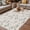 Light Brown, variant on Vintage Dinosaur Outdoor Rug for Patio/Deck/Porch, Non-Slip Large Area Rug 3 x 5 Ft, Primitive Animals Wildlife Hand-painting Beige Indoor Outdoor Rugs Washable Area Rugs, Camping Rug Carpet Runner