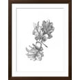 thumbnail image 2 of Art.com Oak Leaf Pencil Sketch II Art Print by Emma Caroline, Brown Frame Wall Art, 32" x 40", 2 of 4