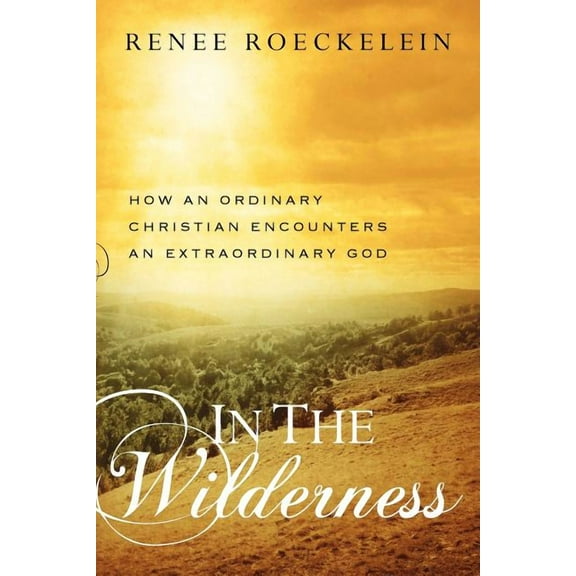In The Wilderness : How An Ordinary Christian Encounters an Extraordinary God (Paperback)