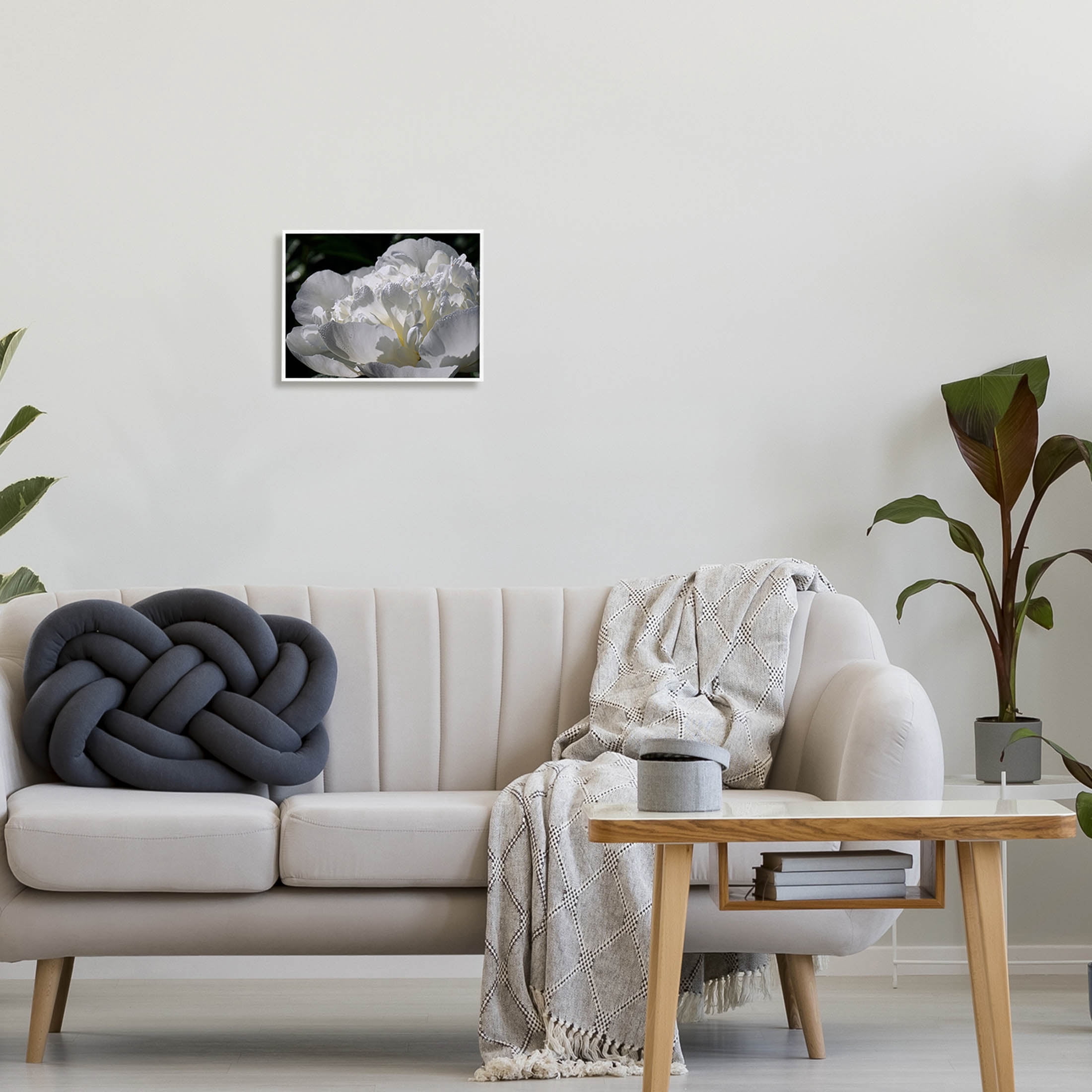 Blooming White Petals Photography Botanical & Floral Photograph White Framed Art Print Wall Art
