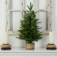 thumbnail image 5 of Nearly Natural 2ft. Artificial Christmas Tree with 35 Clear LED Lights in Decorative Basket, 5 of 7