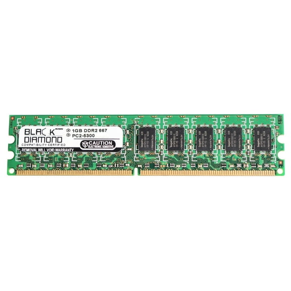 1GB RAM Memory for Dell PowerEdge 800 240pin PC2-5300 DDR2 ECC UDIMM 667MHz Black Diamond Memory Module Upgrade