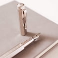 thumbnail image 6 of Caran d'Ache Ecridor Palladium Heritage Fountain Pen - Medium, 6 of 9