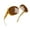 B10-Champagne Frame/Brown Lens, variant on Joopin Polarized Sunglasses Womens Trendy Oversized Large Driving Sun Glasses Ladies UV Protective Big Sunnies Shades (Blue)