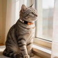 thumbnail image 2 of Mumup Rhinestone Cat Collar Breakaway, Soft Velvet Cat Collars with Bell, Adjustable Comfortable Cats Collar, 7.5-12.5 Inch for Cat, Kittens and Puppies, 2 of 7